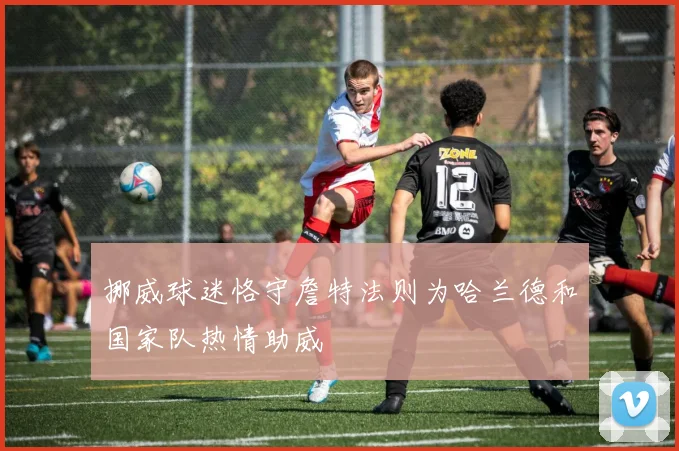 挪威球迷恪守詹特法则为哈兰德和国家队热情助威